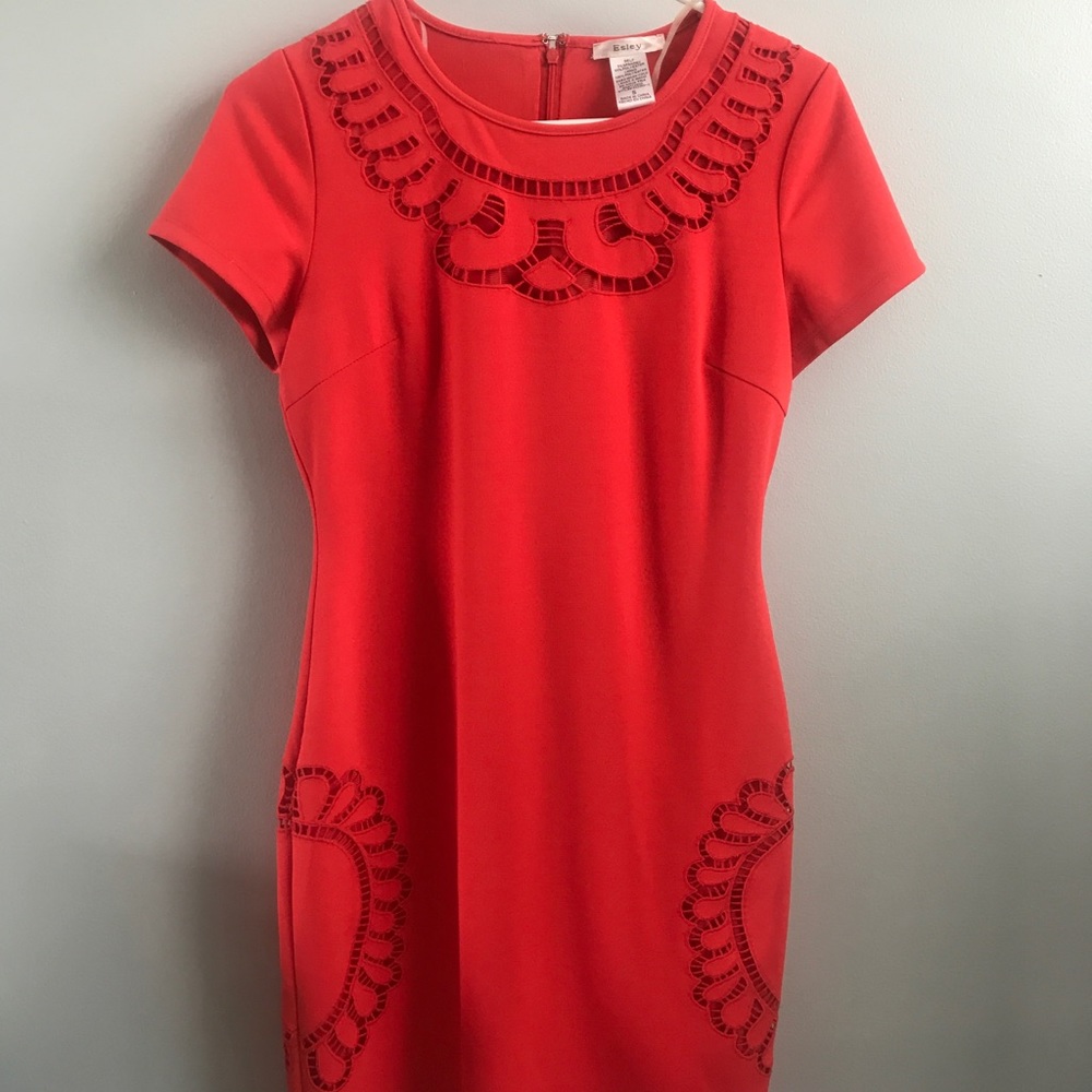 Esley Boutique dress